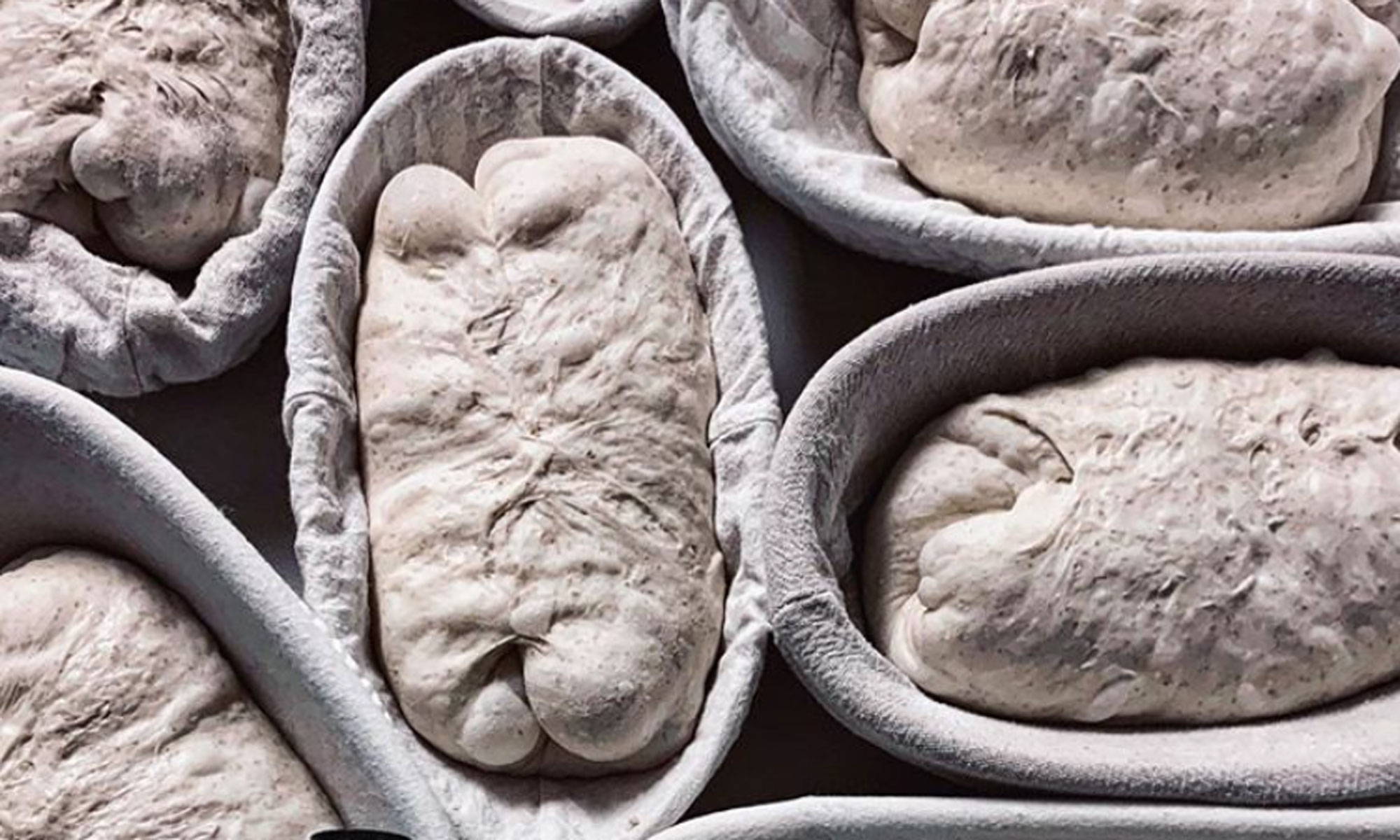 Choosing Proofing Basket of the Right Type and Size MadeTerra